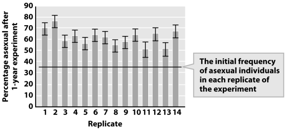 <strong>In an experiment,Jokela and colleagues reared 14 replicate populations of a snail species that is polymorphic for sexual/asexual reproduction under controlled,identical conditions in the lab.Each population started with 35% asexual and 65% sexual individuals.The figure below shows the percent of asexual individuals after a year-long experimental run.Which of the following statements is a possible explanation for these results? </strong> A)Asexual females survived better under the experimental conditions. B)Asexual females produced more offspring per individual than sexual females. C)Avoiding the cost of males allows faster population growth for the asexual subpopulation. D)A novel mutation after the start of the experiment led to the increased survival of the asexual line with the mutations. E)A, B, and C