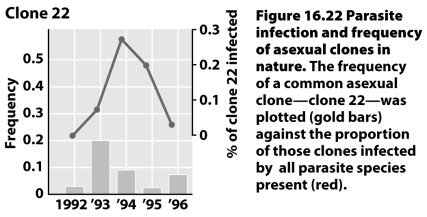 <strong>The figure below illustrates the proportion of a particular asexual snail clone in a population and the degree to which it was infected with a particular parasite.Which prediction of the Red Queen hypothesis do these results appear to reflect? </strong> A)A correlation between parasite load and sexual reproduction B)Oscillation in the relative frequency of asexual strains in the presence of parasites C)Emergent host defenses are synchronously tracked by parasite responses D)A general decline of asexual lineages in the presence of parasites
