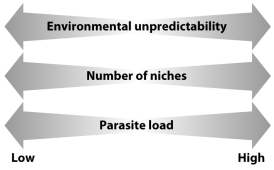 Under what conditions are asexual and sexual reproduction favored by the three evolutionary models,involving environmental unpredictability,number of niches,and parasite load? A)Low environmental unpredictability B)High environmental unpredictability: C)Low number of niches D)High number of niches E)Low parasite load F)High parasite load