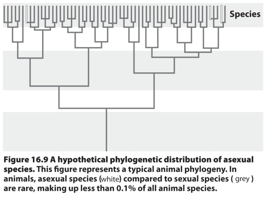 Develop a short hypothetical explanation (one sentence)for the observed distribution of obligate asexual reproduction under the environmental unpredictability model.