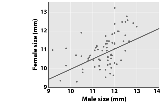 The graph below shows the size of the male and female in a large number of matings of an insect species observed in nature.A separate study showed that large females produce more eggs than small females.Which of the following statements is a possible explanation for the observed pattern?