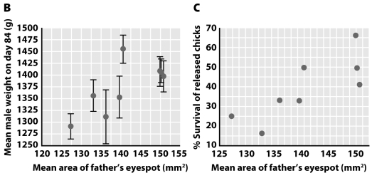 Male peacocks with larger eyespots are more attractive to females than males with smaller eyespots.The two figures below show mean weight (at a certain age)and percent survival of offspring as a function of the father's eyespot size.Are these results consistent with the hypothesis that eyespots are an honest signal? Justify your answer.  <div style=padding-top: 35px> 