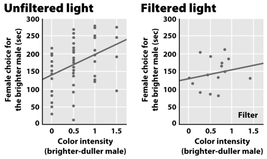 Why did Milinski and Bakker test female choice between brighter and duller stickleback males in two different set-ups: one with unfiltered light and one with light from which red color was eliminated? The results from both trials are shown below.