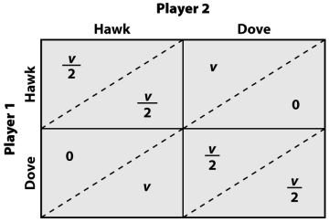 Consider the modified pay-off structure for the hawk-dove game below.What strategy should the players adopt? (v = benefit of the resource that is being fought over.)