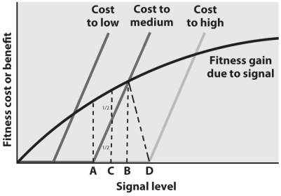 Based on the model for conventional signals below,which signal level should an individual of medium ability adopt?