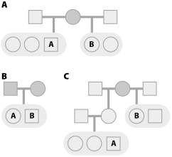 Based on the figures below,calculate the coefficient of relatedness for individuals A and B in each case.Show your calculations.