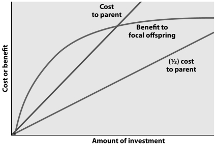 Between which amounts of parental investment can you find the zone of conflict between parent and focal offspring? Delineate the zone of conflict in the figure below,and briefly explain how you chose the lower and upper bound.