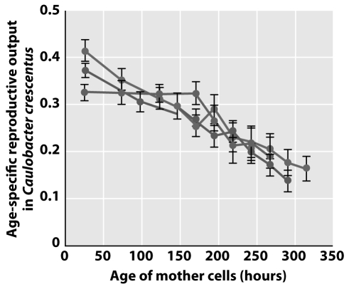 <strong>.Ackermann and colleagues (2003)investigated senescence in bacteria.What do the following results demonstrate and why are they surprising given evolutionary theory on aging? </strong> A)Bacteria do not senesce. Every organism should show trade-offs between fitness and longevity. B)Bacteria do not senesce. Extrinsic mortality is not constant throughout the life of a bacterial cell. C)Bacteria do senesce. Pleiotropy is the rare exception in simple bacterial genomes. D)Bacteria do senesce. Cell propagation and reproduction are the same in bacteria.