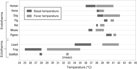 <strong>This figure shows the basal and fever temperatures for various vertebrates. If fever conferred only benefits, and had no costs, how might you expect this graph to differ? </strong> A) Basal temperatures would be more like fever temperatures. B) Fever temperatures would be lower than basal temperatures. C) Ectotherms would have higher basal temperatures than endotherms. D) Basal temperatures would be even lower than fever temperatures.