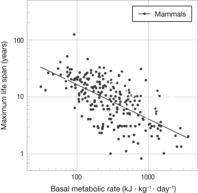 <strong>Does this graph provide evidence in support of the rate-of-living hypothesis for senescence? </strong> A) No; the rate-of-living hypothesis does not make any predictions about the relationship between metabolic rate and life span. B) Yes; these data demonstrate that high metabolic rates cause longer life spans. C) No; the rate-of-living hypothesis predicts that life span should increase with increasing metabolic rate. D) Yes; this graph shows the expected inverse relationship between metabolic rate and life span.