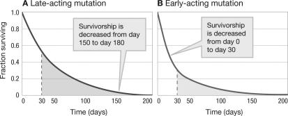 Figures A and B show the effect of a late- and an early acting mutation on the lifetime fitness of individuals. Reproduction begins at day 30. Using the graphs, how would you determine which of the two mutations had a greater effect on lifetime fitness?