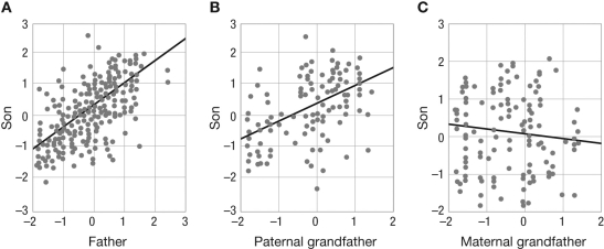 How can cultural transmission of male songs facilitate the early stages of new species formation in Darwin's finches?