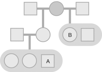 <strong>What is the coefficient of relatedness for individuals A and B in the following pedigree? </strong> A) 0.50 B) 0.25 C) 0.125 D) 0.0625
