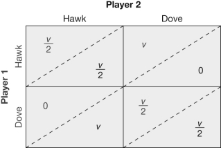 <strong>Consider the modified payoff structure for the hawk-dove game below. Which of the following strategies should the players adopt? (v = benefit of the resource that is being fought over.) </strong> A) Each player should play dove half of the time. B) Both players should always play hawk. C) One player should always play hawk; the other should always play dove. D) Each player should play hawk half of the time.