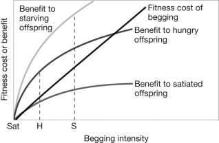 <strong>The model below predicts that the begging level of full (satiated) offspring (F) should essentially be zero, whereas hungry (H) and starving (S) offspring show intermediate and high levels of begging, respectively. Under what circumstances would we expect full (satiated) offspring to start begging? </strong> A) when the fitness costs of begging are higher than the benefits B) when the fitness costs of begging are lower than the benefits C) only when the fitness costs of begging increase in a nonlinear fashion with begging intensity D) Under no circumstances would this occur; the full (F) individuals are by definition at begging intensity zero.