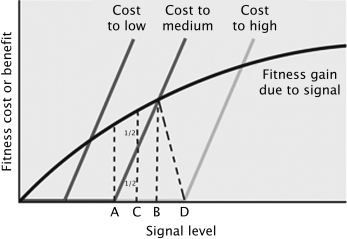 <strong>Based on the model for conventional signals below, which signal level should an individual of medium ability adopt? </strong> A) A B) B C) C D) D