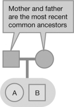 <strong>Based on the figure, what is the coefficient of relatedness (r) between individuals A and B? </strong> A) 0.25 B) 0.50 C) 0.75 D) 1.00