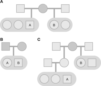 Based on the figures shown here, calculate the coefficient of relatedness for individuals A and B in each case. Show your calculations.