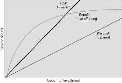 Between which amounts of parental investment can you find the zone of conflict between parent and focal offspring? Delineate the zone of conflict in the figure below, and briefly explain how you chose the lower and upper bound.
