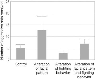Describe the control in Tibbetts and Izzo's experiment, illustrated below, in which they manipulated the facial pattern and fighting behavior of wasps.