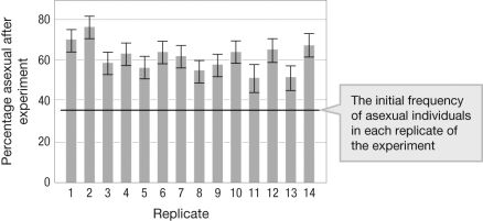 <strong>In an experiment, Jokela and colleagues reared 14 replicate populations of a snail species that is polymorphic for sexual/asexual reproduction under controlled, identical conditions in the lab. Each population started with 35% asexual and 65% sexual individuals. The figure below shows the percentage of asexual individuals after a year-long experimental run. Which of the following statements is NOT a possible explanation for these results? </strong> A) Asexual females survived better under the experimental conditions. B) Asexual females produced more offspring per individual than sexual females. C) Avoiding the cost of males allows faster population growth for the asexual subpopulation. D) A novel mutation after the start of the experiment led to the increased survival of the asexual line with the mutations.