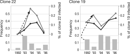 <strong>The figure shown illustrates the proportion of a particular asexual snail clone in a population and the degree to which it was infected with a particular parasite. Which prediction of the Red Queen hypothesis do these results appear to reflect? </strong> A) a correlation between parasite load and sexual reproduction B) oscillation in the relative frequency of asexual strains in the presence of parasites C) emergent host defenses synchronously tracked by parasite responses D) a general decline of asexual lineages in the presence of parasites