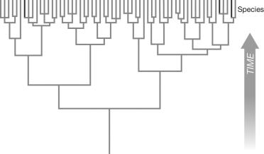 Develop a short hypothetical explanation (one sentence) for the observed distribution of obligate asexual reproduction under the environmental unpredictability model.