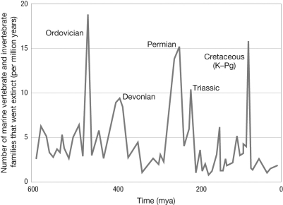 <strong>The graph shows the extinction rates for families of marine organisms over different periods of Earth's history. What is the best estimate for the background extinction rate given these data?  </strong> A) 14-20 families per million years B) 8-12 families per million years C) 2-5 families per million years D) 2-20 families per million years <div style=padding-top: 35px> 