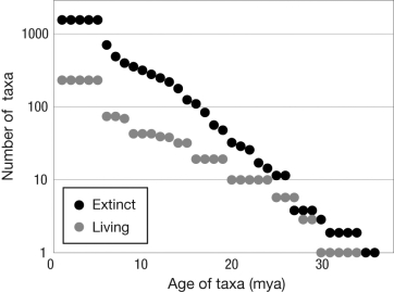 Explain how the figure suggests that extinction probability is independent of a taxon's age. Keep in mind that the y-axis is measured on a logarithmic scale.