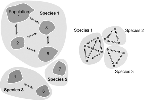 <strong>The figure on the left illustrates species boundaries as assigned by the application of the biological species concept, while the figure on the right illustrates species boundaries as the result of the ecological species concept. What is the difference in how these boundaries are delineated when applying these concepts? </strong> A) The biological species concept uses the pattern of gene flow to assign boundaries, while the ecological species concept uses competition. B) The biological species concept uses shared, derived characters to assign boundaries, while the ecological species concept uses competition. C) The biological species concept uses competition to assign boundaries, while the ecological species concept uses gene flow. D) The biological species concept uses polymorphic characters to assign boundaries, while the ecological species concept uses shared, derived characters.