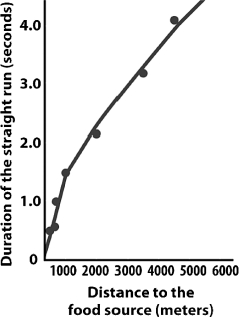 The figure illustrates the relationship between the distance to a food source and duration of the straight run portion of a honeybee's waggle dance in the hive. If a forager returned to the hive with food and did a straight run of 1.5 seconds, how far would other foragers go to find food?