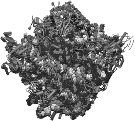 <strong>How does this figure illustrate a line of evidence supporting RNA world?  </strong> A) This figure illustrates a cofactor that indicates catalytic and structural functions performed by RNAs. B) This figure illustrates the removal of a hydroxyl group through a ribonucleotide reductase. C) This figure shows the catalytic site of a ribosome that is formed entirely from RNA. D) This figure illustrates one of the many essential parts of RNA present in the prebiotic environment. <div style=padding-top: 35px> 