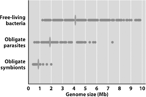 <strong>A researcher discovers a new prokaryote whose genome is ~8 Mb in size. Based on the figure shown, what type of organism is this likely to be? </strong> A) free-living bacterium B) obligate parasitic bacterium C) obligate symbiontic bacterium D) Archaean
