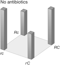 The figure shown demonstrates the genotypic adaptive landscape for bacteria growing in media without antibiotics. The height of the bars associated with a genotype indicates the fitness of that genotype. The R allele confers resistance to antibiotics, and the C allele compensates for the loss of fitness that the R allele confers in the absence of antibiotics. The rc haplotype lacks both compensation and resistance. Based on this landscape, why are resistance and compensation unlikely to be lost even in the absence of antibiotics?