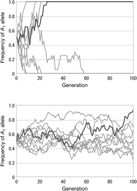 <strong>The two graphs show the change in allele frequency, p, over 100 generations. Each graph shows 10 different populations, all experiencing the same evolutionary forces. What is the most likely difference between the populations shown in the top graph compared to the populations in the bottom graph? </strong> A) There is no difference between the populations; the differences in the graphs are due to chance. B) The populations in the graph on top have a longer generation time than the populations in the bottom graph. C) The populations in the graph on top are experiencing genetic drift; the populations in the graph on bottom are experiencing directional selection. D) The population sizes in the graph on top are smaller than the population sizes in the graph on the bottom.