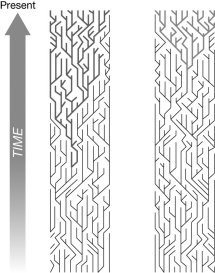 <strong>The figure shows the genealogies for two different genes. Which of the following is a reasonable explanation for the observed difference? </strong> A) The gene in A is neutral. The gene in B experienced balancing selection. B) The population size is smaller in A than B. C) The gene in A is neutral. The gene in B experienced positive selection. D) The mutation rate is lower in gene A than gene B.