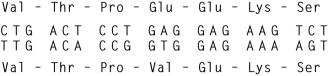 <strong>The figure shows aligned homologous gene sequences from two species. What is the dominant evolutionary force acting on this gene in these species? </strong> A) positive selection B) recombination C) genetic drift D) purifying selection
