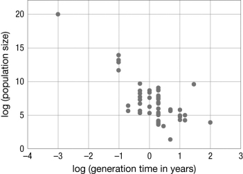 The neutral theory predicts a constant rate of substitutions per generation; however, molecular clock estimates show that substitutions accumulate annually regardless of the generation time. What explanation for this discrepancy is illustrated in the figure?