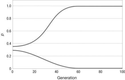 The figure shows the allele frequency trajectories for two populations starting from two different initial frequencies. Which evolutionary processes could produce this result?