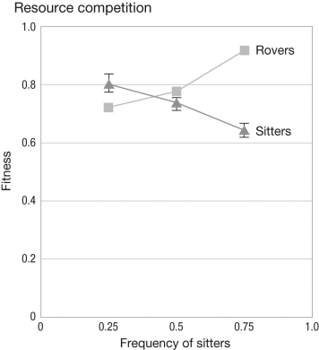 <strong>What type of selection is demonstrated in the figure shown?  </strong> A) overdominance B) directional selection C) negative frequency-dependent selection D) underdominance <div style=padding-top: 35px> 