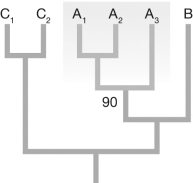 <strong>What does the 90 on the figure indicate? </strong> A) There is 90% certainty that species A<sub>1</sub>, A<sub>2</sub>, and A<sub>3</sub> are a monophyletic clade. B) The monophyletic clade of species A<sub>1</sub>, A<sub>2</sub>, and A<sub>3 </sub>appears as a monophyletic clade in 90% of all bootstrap replicates. C) The hypothetical common ancestor for species A<sub>1</sub>, A<sub>2</sub>, and A<sub>3 </sub>lived 90 generations ago. D) The hypothetical common ancestor for species A<sub>1</sub>, A<sub>2</sub>, and A<sub>3 </sub>had 90 genes in its genome.