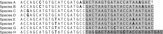 In a paragraph, describe the data shown in the figures with regards to sequence alignment.