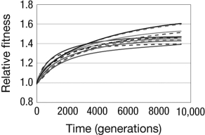 <strong>Lenski and Travisano compared what happened to the fitness of cells in 12 replicate lines of E. coli. According to the graph shown, which of the following statements is true?  </strong> A) Fitness increased in some of the lines and decreased in other lines. B) Fitness increased initially, but after about 3,000 generations all of the lines reached their maximum fitness and quit evolving. C) Fitness increased in every line, but to a different degree in each line. D) Evolution by natural selection cannot be predicted at any level. <div style=padding-top: 35px> 