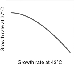 <strong>The figure shows a hypothetical relationship between the growth rates of E. coli at 37 and 42 degrees Celsius. This figure illustrates what type of evolutionary constraint?  </strong> A) Physical constraints make it difficult for natural selection to produce E. coli that are successful at 42 degrees. B) It illustrates the lack of repeatability in evolution. C) Alleles that are beneficial in one environment may be deleterious in another environment. D) Changing environments make it impossible for natural selection to act. <div style=padding-top: 35px> 