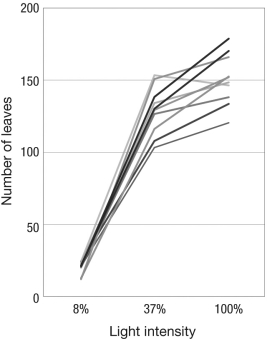 The figure below shows the number of leaves produced by Persicaria maculosa genotypes at differing light intensities. Each shade of gray indicates the norm of reaction for a different genotype. Imagine that natural selection always favors plants with the most leaves. If these plants grow in environments that vary in light intensity, why is it difficult to predict which genotype will be favored by selection?  <div style=padding-top: 35px> 
