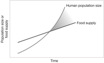 Give an explanation of the English economist Thomas Robert Malthus' argument, presented in the figure.