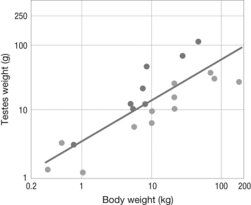 <strong>In the figure below, the lighter gray circles represent single-male breeding systems in primates and the darker gray circles indicate multi-male systems. Which of the following statements is consistent with these data? </strong> A) Single-male breeding systems select for smaller testes size because sperm are not needed to increase reproductive success. B) Body weight does not influence testes size because selection only favors large testes in multi-male systems. C) Species with multi-male systems evolve larger testes because they have higher body weights. D) Selection favors large testes relative to body weight when a male's sperm must compete directly with other males.