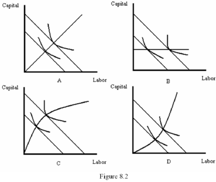 <strong> Refer to Figure 8.2.Which graph illustrates an output expansion path with an increasing capital-labour ratio?</strong> A) A B) B C) C D) D