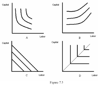 <strong> Refer to Figure 7.5.Which diagram represents isoquants for inputs that are perfect substitutes?</strong> A) A B) B C) C D) D