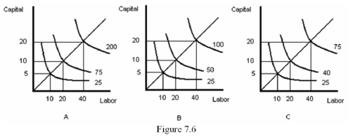 <strong> Refer to Figure 7.6.Which graph represents constant returns to scale?</strong> A) A B) B C) C D) Both graph A and graph C
